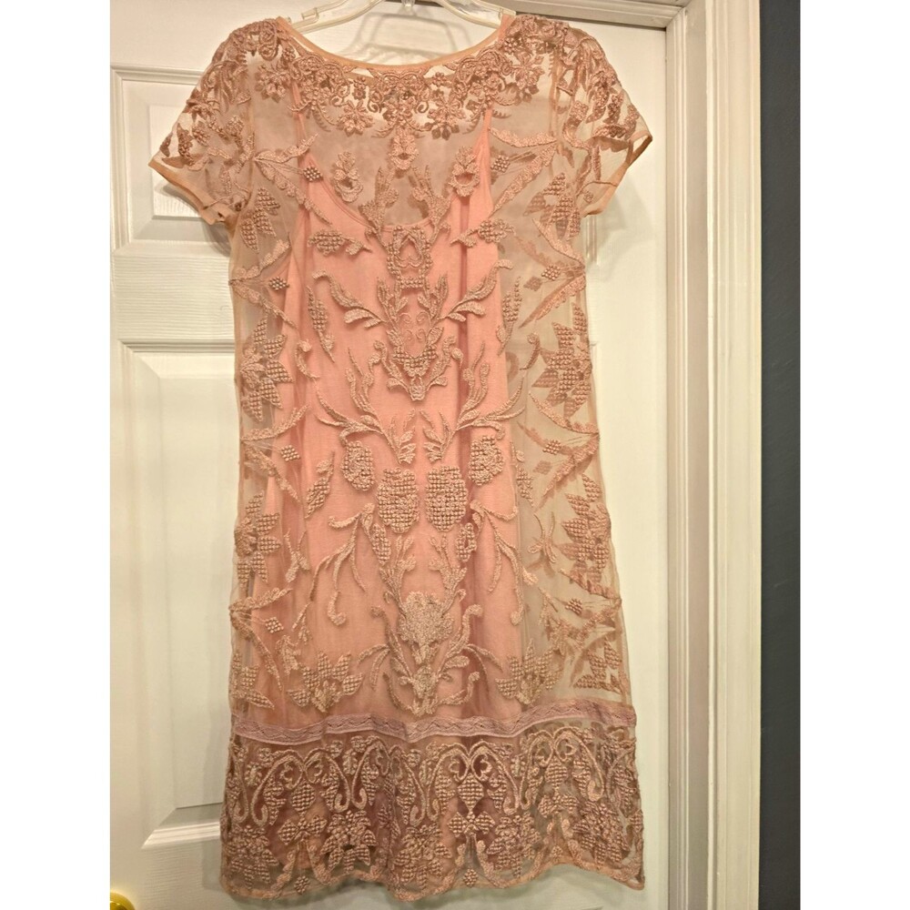 Sundance catalog true grace embroidered dress XS romantic lace overlay feminine